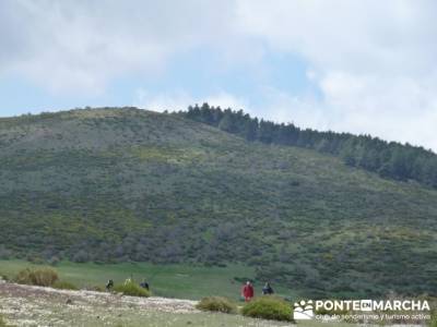 Ruta de Senderismo - Altos del Hontanar; senderos en la palma